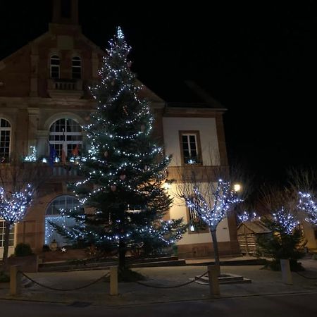 Alsace Randonnee Ou Ski Bel Appartement Grendelbruch Exterior foto